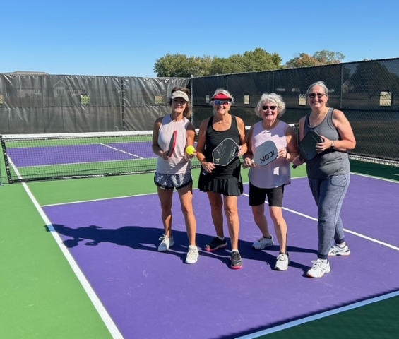 Siesta Hills Pickleball Court