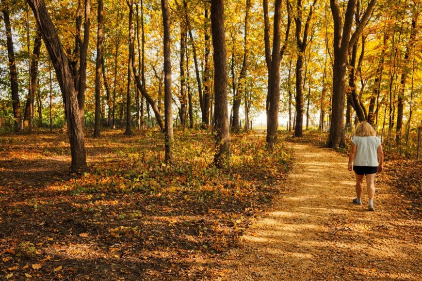 Siesta Hills Mankato Mn Walking Trail Fall