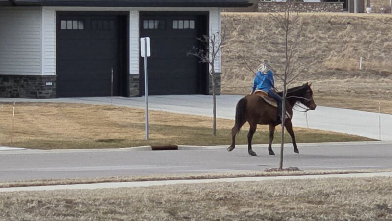 Horse rider passing through the Siesta Hills neighborhood in Mankato Minnesota