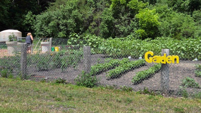 Overview of the Siesta Hills community garden in Mankato, Minnesota, with residents enjoying the shared growing space